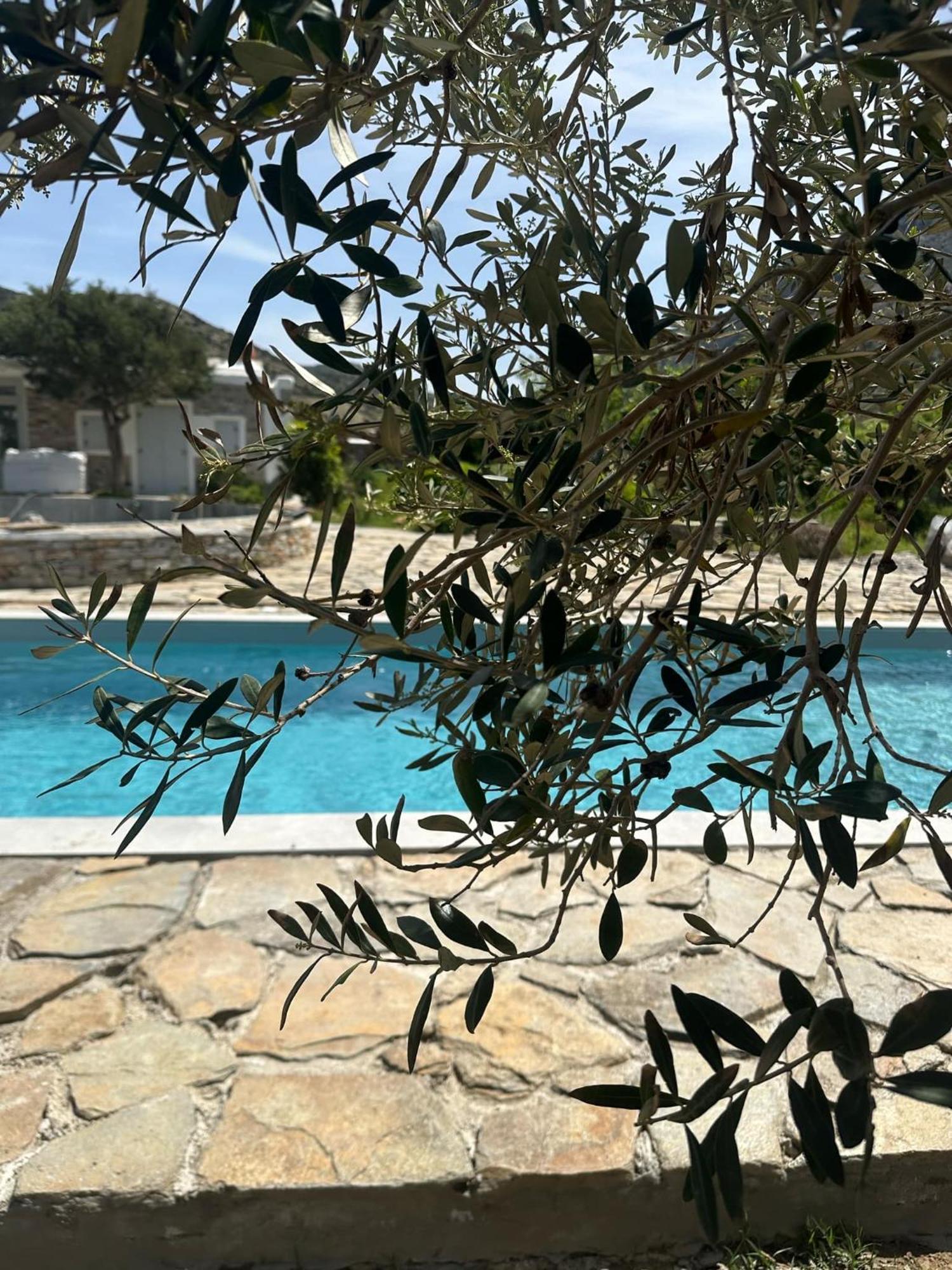 Villa River With Pool Kamáresz Kültér fotó
